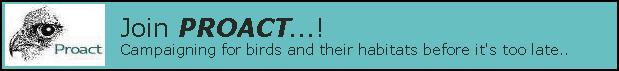 proact.jpg